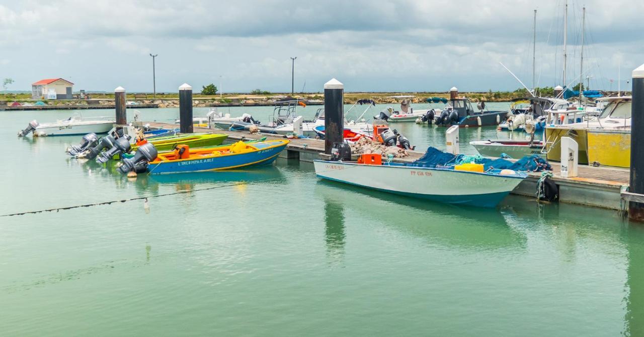 T2 Jacuzzis et piscine au centre ville de Port-Louis Extérieur photo